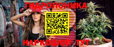 хмурый Можга