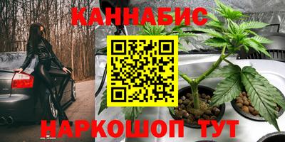 гидра Можайск
